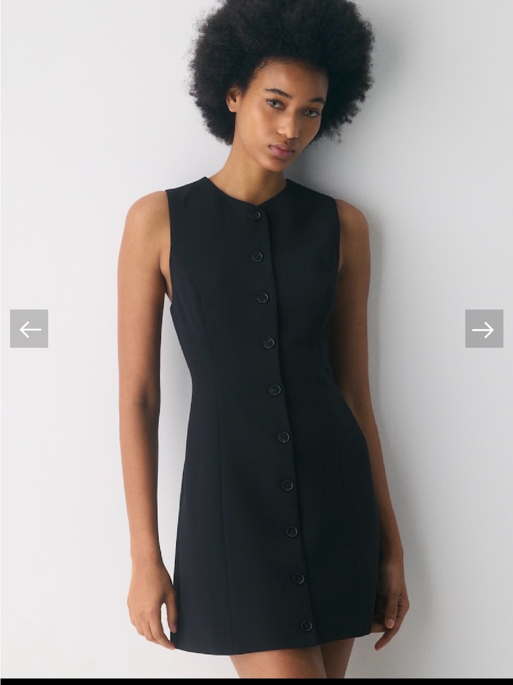 Aritzia Black Sleeveless Button-Front Mini Dress